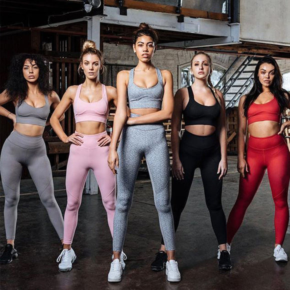APPAEL SPORTSWEAR